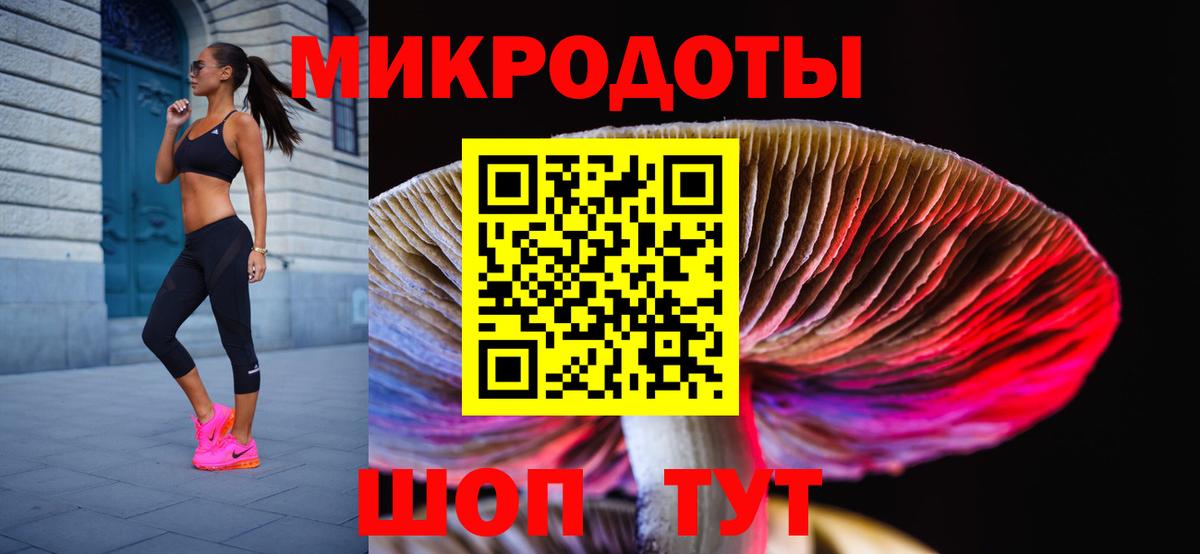 Псилоцибиновые грибы Psilocybe Элиста